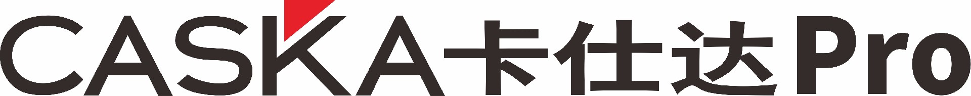 Caska卡仕达Pro-LOGO.jpg